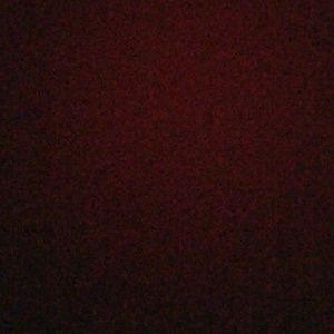 Meet your Posher, Dane